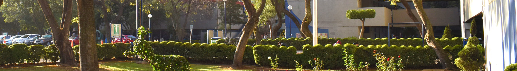 cintillo04 cintillo04