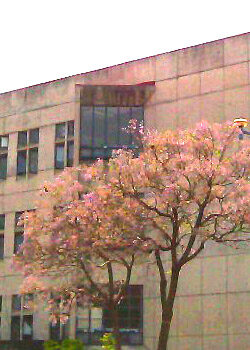 fondo_p02 fondo_p02