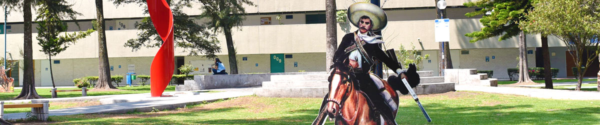 zapata zapata