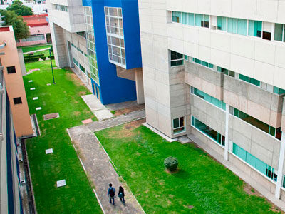 La Unidad Xochimilco se organiza en Divisiones Académicas que abarcan diversas áreas del conocimiento, promoviendo así una formación integral y multidisciplinaria.