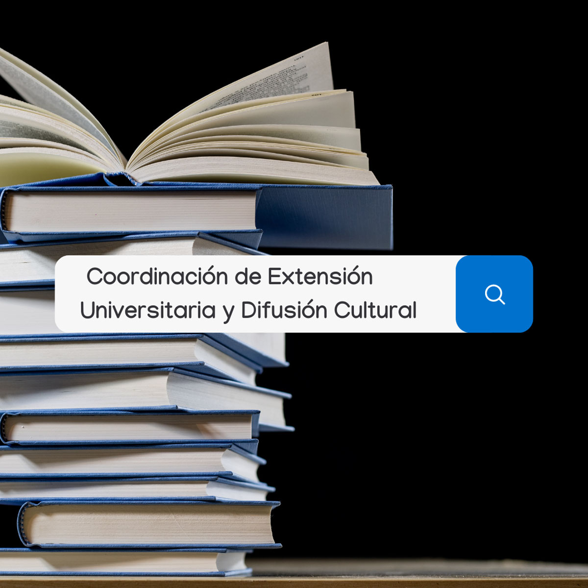 Cuadro - 5