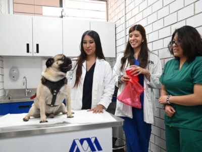 AGOSTO 15_2024. PRIMER ENCUENTRO ACADEMICO DE LA LIC EN VETERINARIA202408158771 AGOSTO 15_2024. PRIMER ENCUENTRO ACADEMICO DE LA LIC EN VETERINARIA202408158771