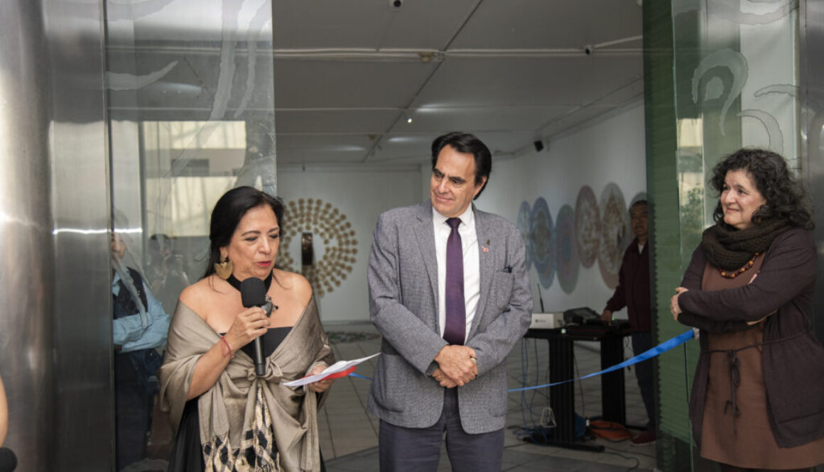 OCTUBRE 29_2024 INAGURACION DE LA EXPOSICION LAS SOMBRAS TAMBIEN MIGRAN DE BETSABEE ROMERO202410296345