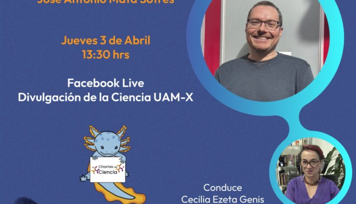GRAFICO FINAL
