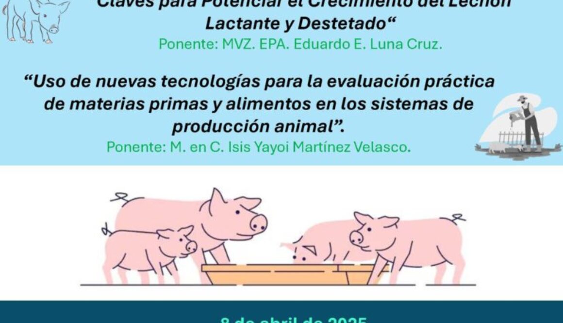 1743525603_eece429e46df9ad0caa8