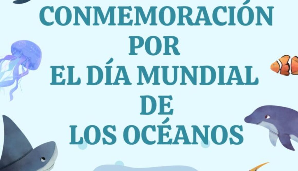 1748894535_cf3e72f9f83ef5cb3613