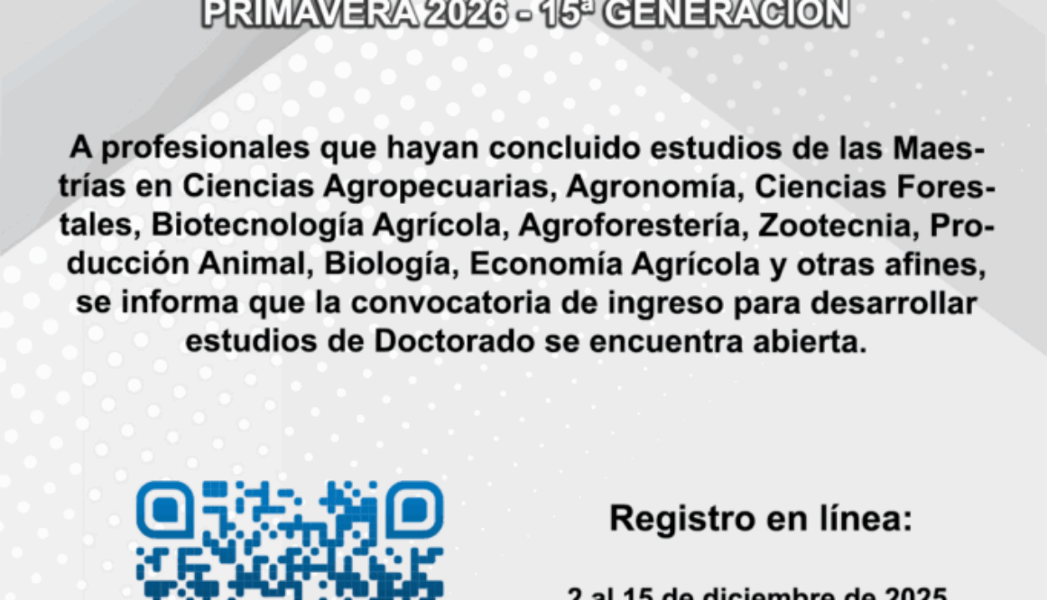 1754352559_c84c216ea76bd031d617