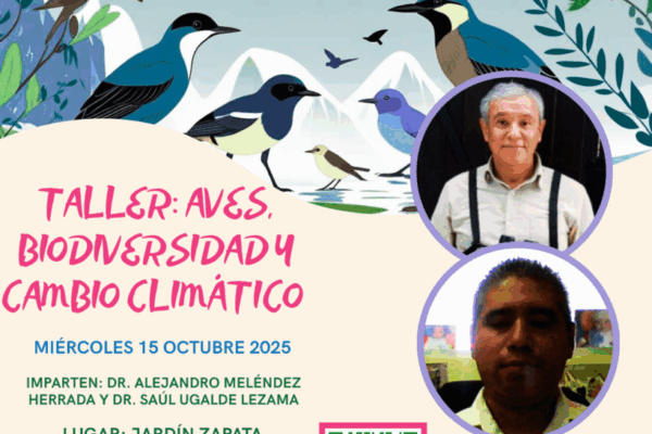 1758230788_195fa9e0844c071e04c3 1758230788_195fa9e0844c071e04c3