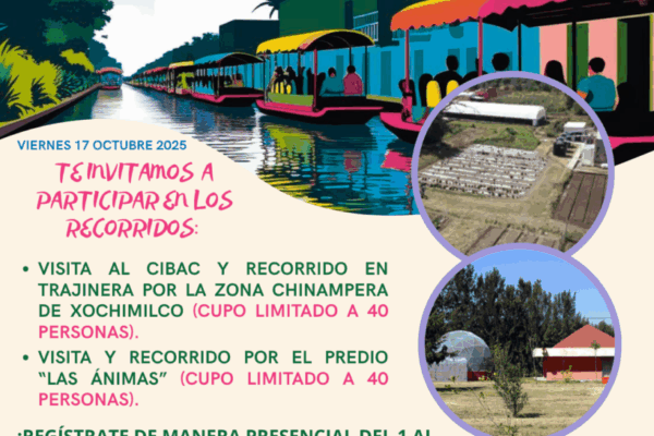 1758232296_c8e9f3b1de185772019a 1758232296_c8e9f3b1de185772019a