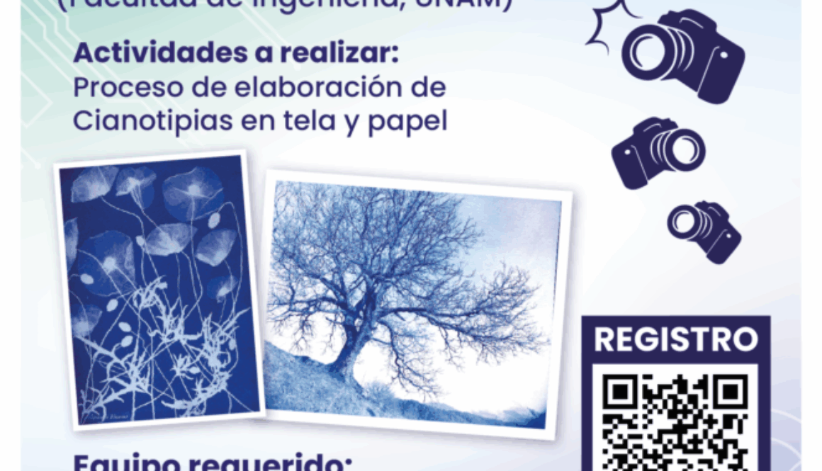 1760639890_d6e86a84f6a167c664c4