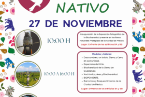 1763406536_0e9e8aacc98086a65898