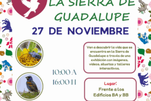 1763406536_122ca1353eab8647162d