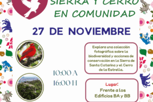 1763406537_01b9393a7ca9acd01026