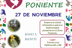 1763406537_08e8995f7a34e70c9596