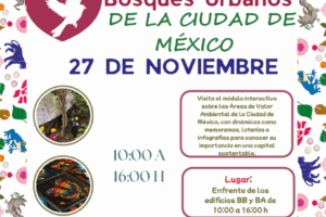 1763406537_68110e19593ca3313361