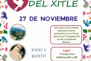 1763406537_9eda96a330c8c96f11b1