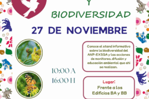 1763406537_ea2fae720466a837b346