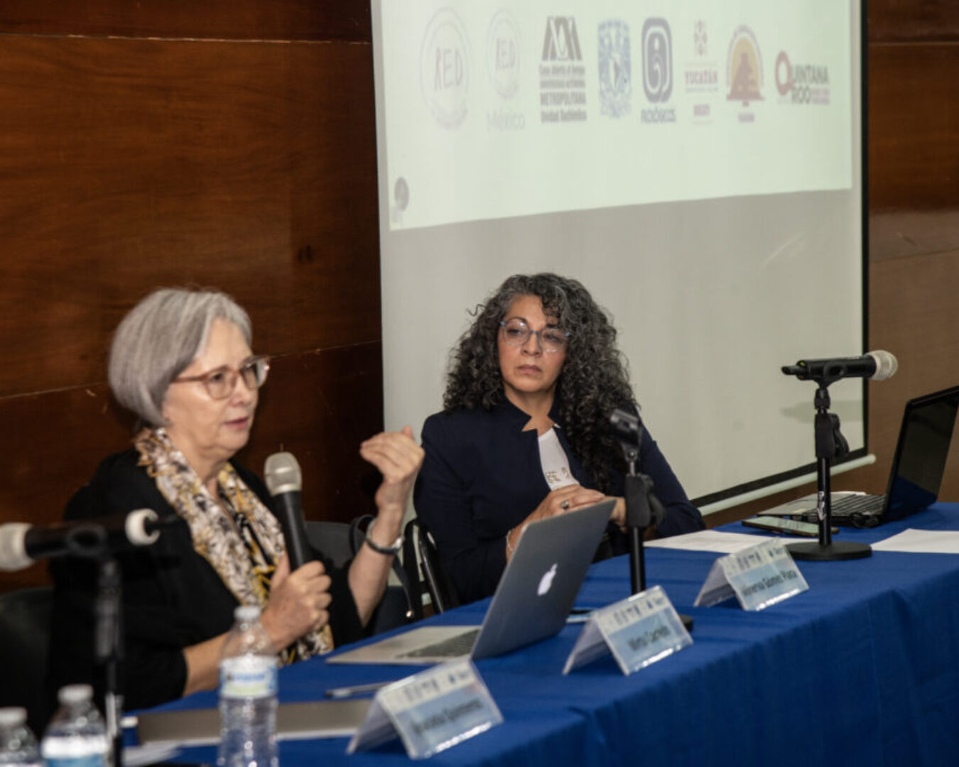 2025 PRIMER COLOQUIO PSICOGENESIS ALFABETIZACION (9) copia