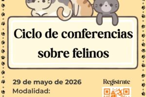 1777927341_87da2d8caa267295719b 1777927341_87da2d8caa267295719b